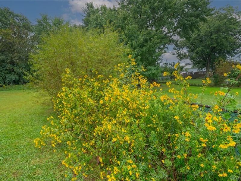 8965 Zoellner Drive, Colerain Township, OH 45251 Photo 36