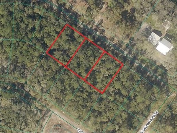 0 Sequoia DR, OCKLAWAHA, FL 32179