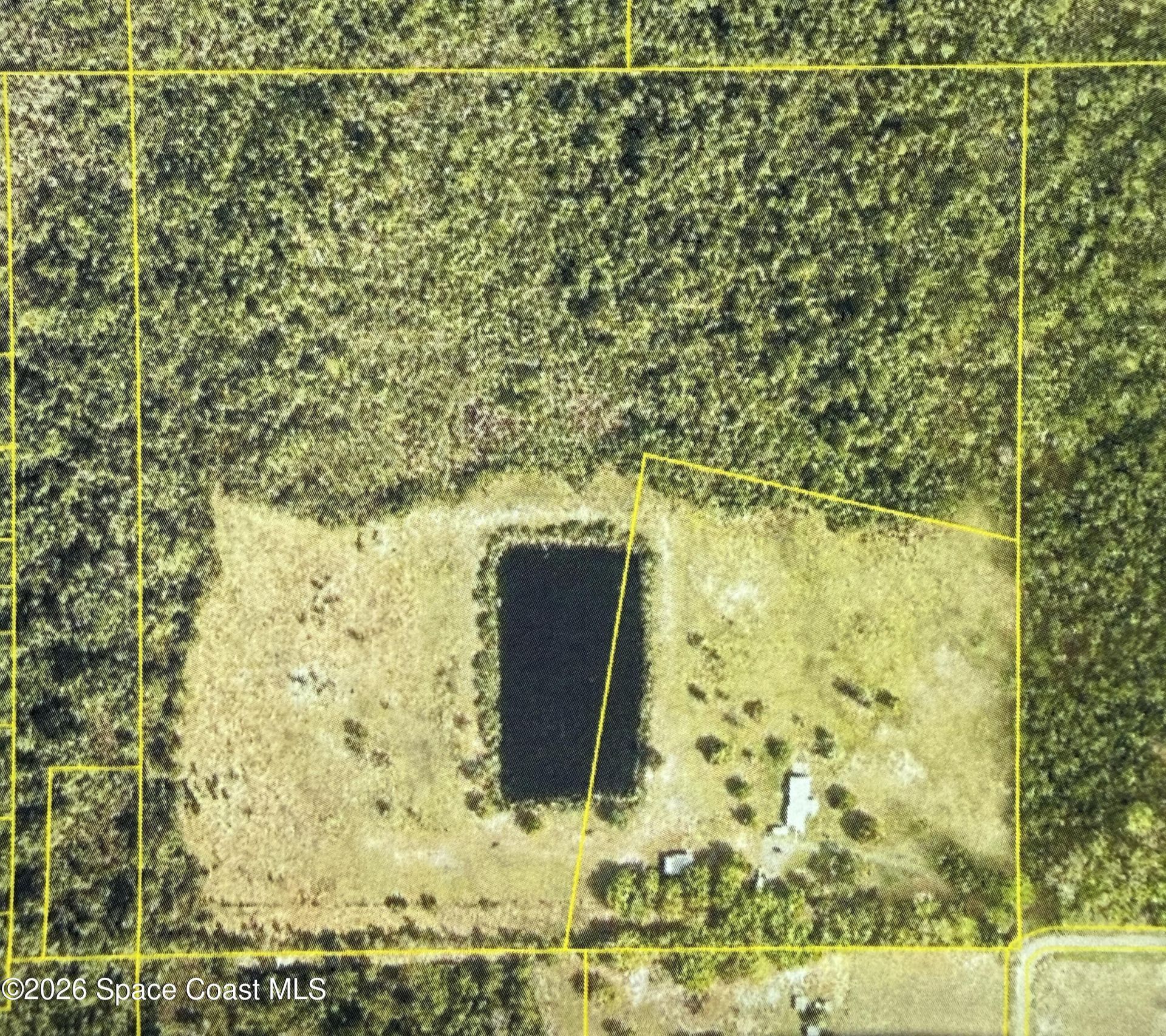 572 N Pine Street, Pierson, FL 32180 Photo