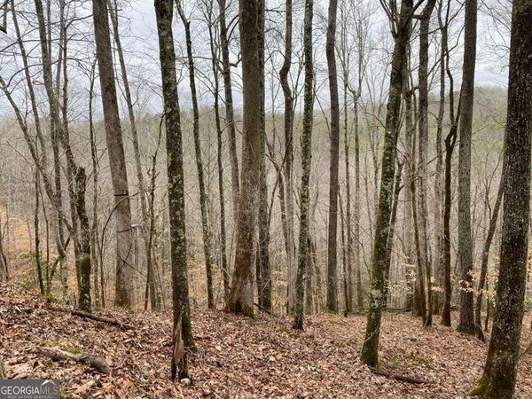 4AC Scenic Way, Unit 3833, Ellijay, GA 30540