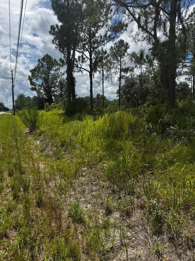 Mcclellan Road, Lot #48, Frostproof, FL 33843 Photo