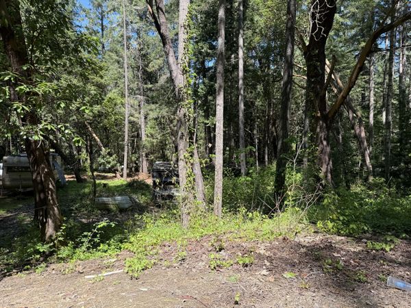 Sunny Valley Loop, Wolf Creek, OR 97497