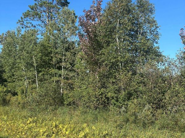 8360 S Old 11 Road, Solon Springs, WI 54873