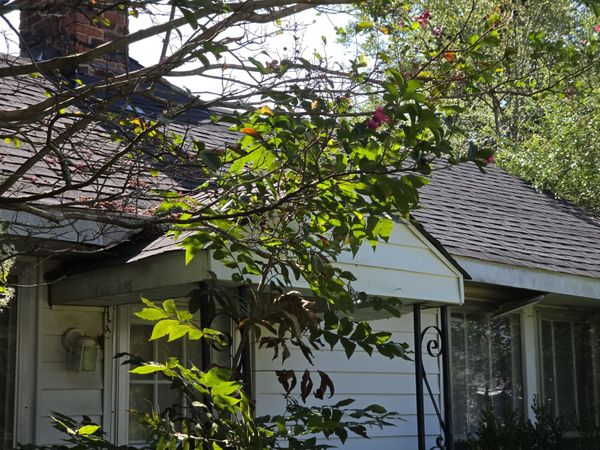 7110 Highway 18 S, Hickory Valley, TN 38042