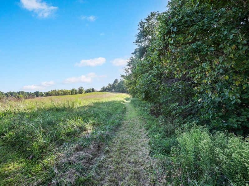 4305 S State Route 555, Chesterhill, OH 43728 Photo 28
