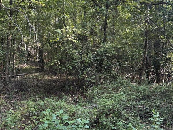 15 Aberdeen Road, Natchez, MS 39120