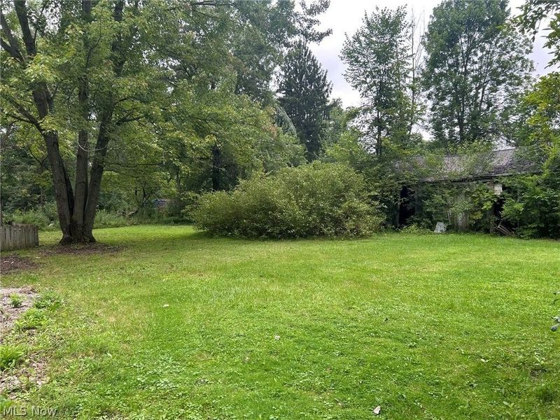 11038 White Avenue, Elyria, OH 44035 Photo 3