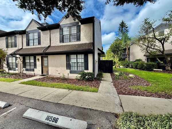 16596 BRIGADOON DRIVE , TAMPA, FL 33618
