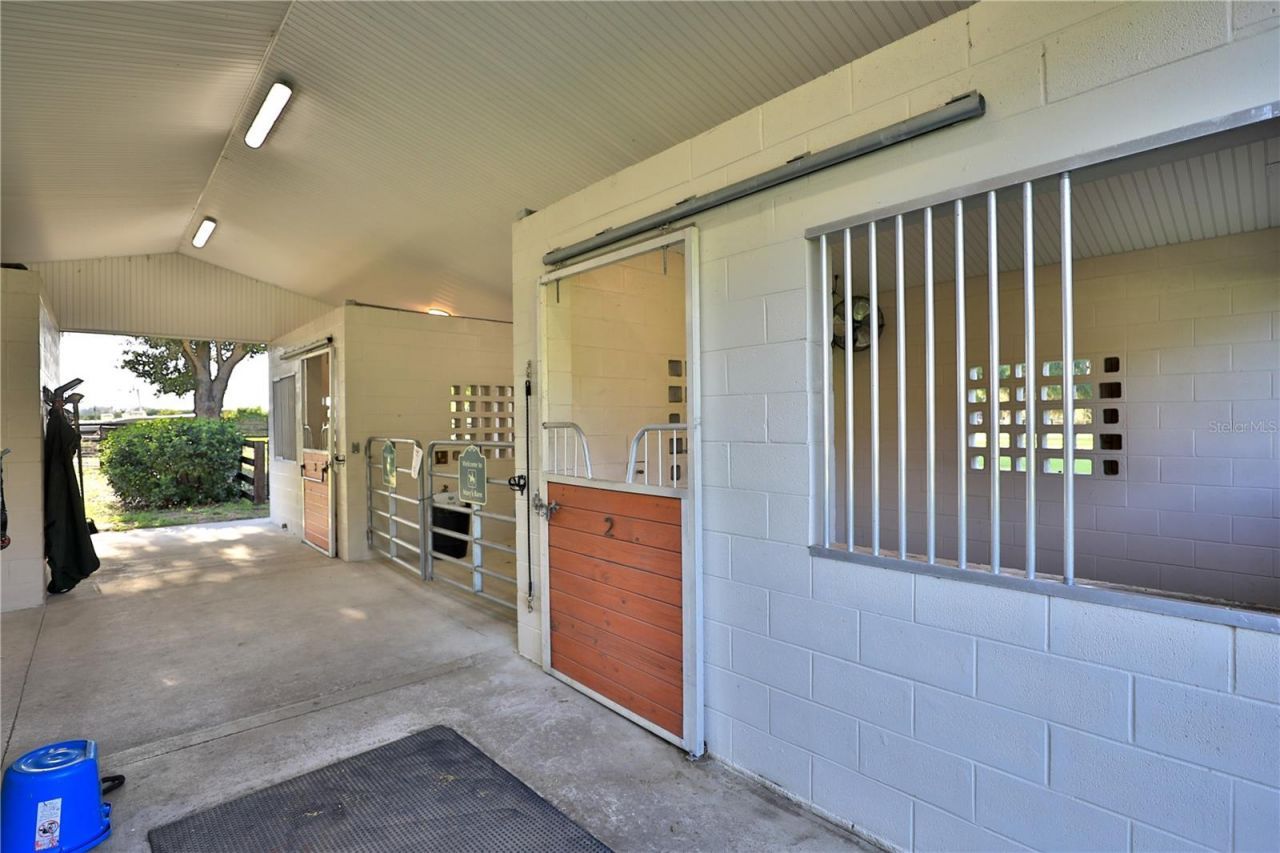 11811 SE Sunset Harbor Road, Weirsdale, FL 32195 Photo