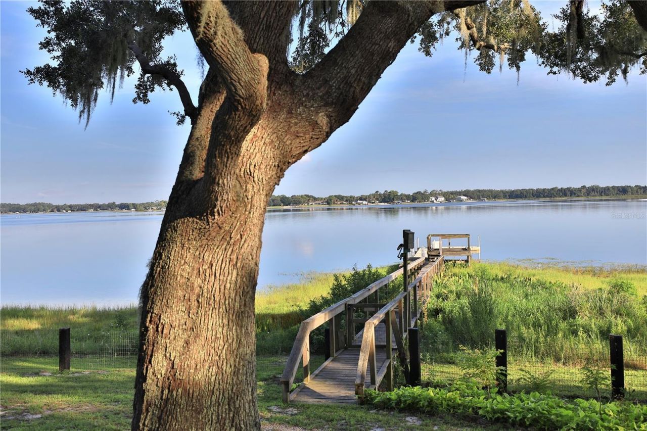 11811 SE Sunset Harbor Road, Weirsdale, FL 32195 Photo