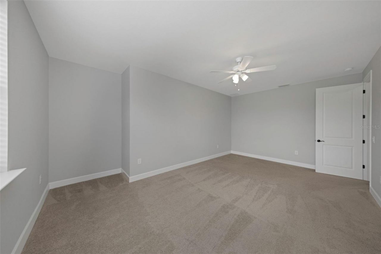 17807 Howsmoor Place, Lutz, FL 33559 Photo