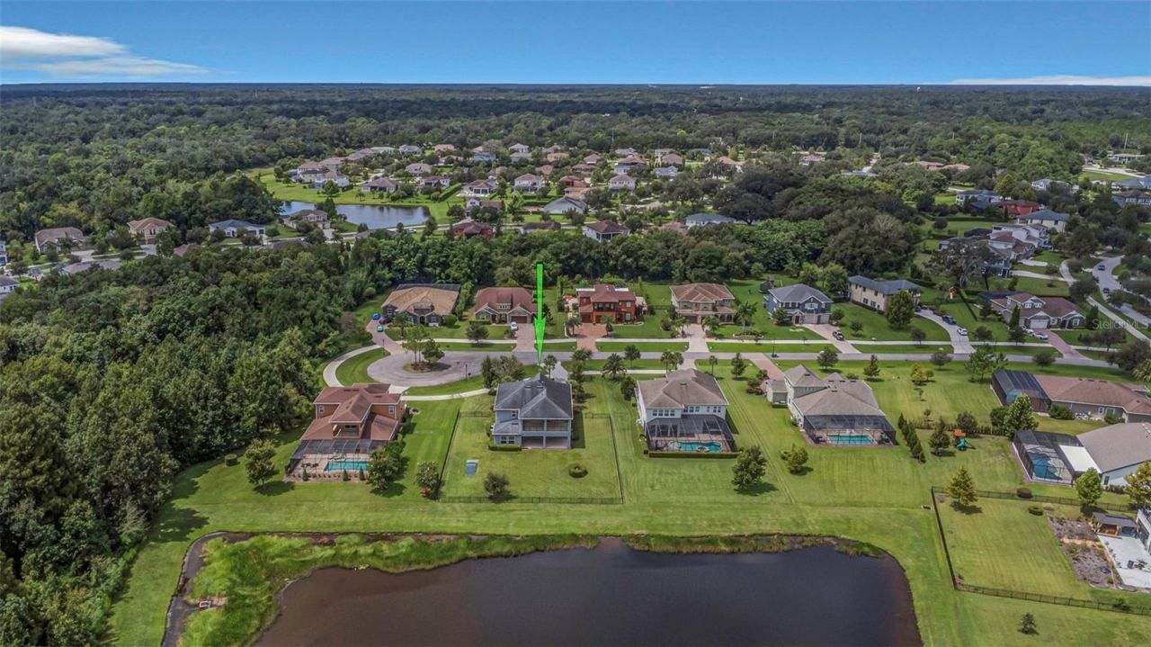 17807 Howsmoor Place, Lutz, FL 33559 Photo