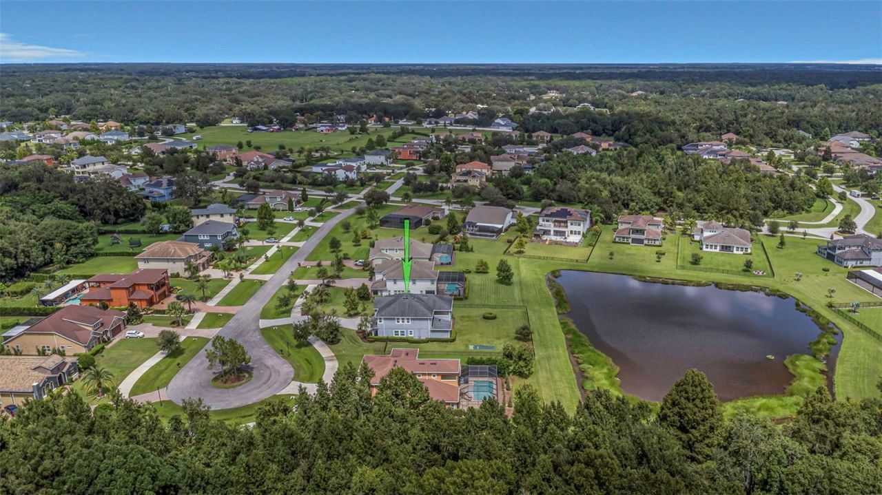 17807 Howsmoor Place, Lutz, FL 33559 Photo