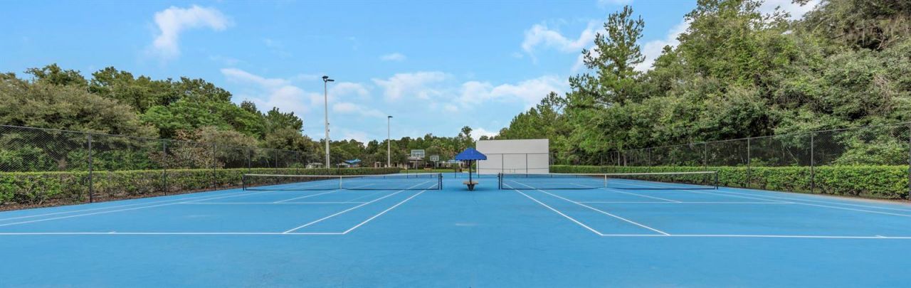 17807 Howsmoor Place, Lutz, FL 33559 Photo