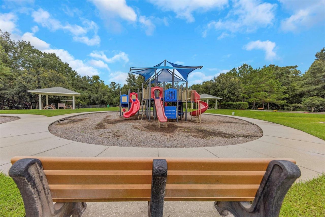 17807 Howsmoor Place, Lutz, FL 33559 Photo