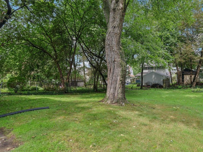 989 Amelia Avenue, Akron, OH 44302 Photo 33