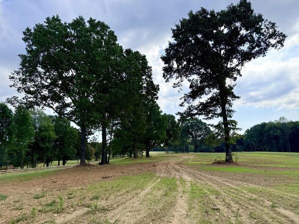 8 ANTWINE RD, Gadsden, TN 38337