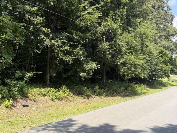 0 Indian Mound Road, Ringgold, GA 30736
