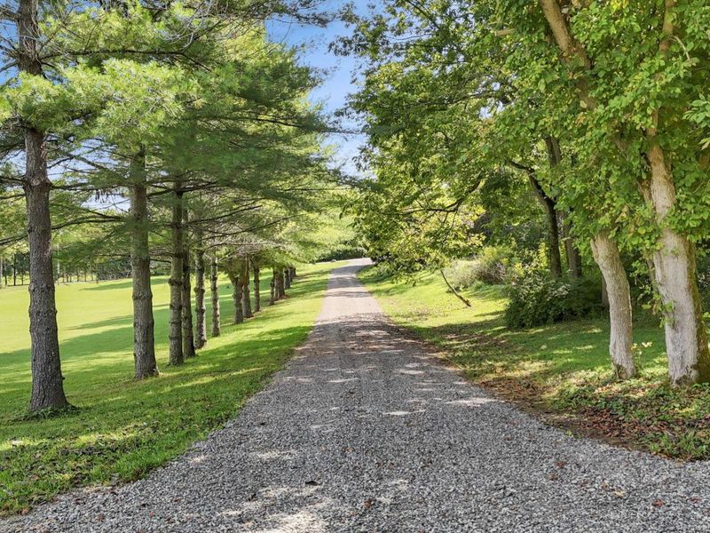 2215 Mcdonald Hill Road, Frankfort, OH 45628 Photo 65