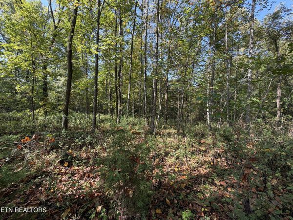 2235 Moore Knob Rd , Allardt, TN 38504