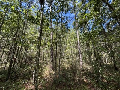 10 Red Oak Road, Cottageville, SC 29435