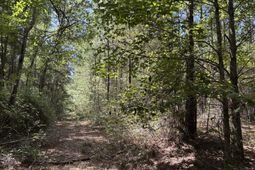 10 Red Oak Road photo 4