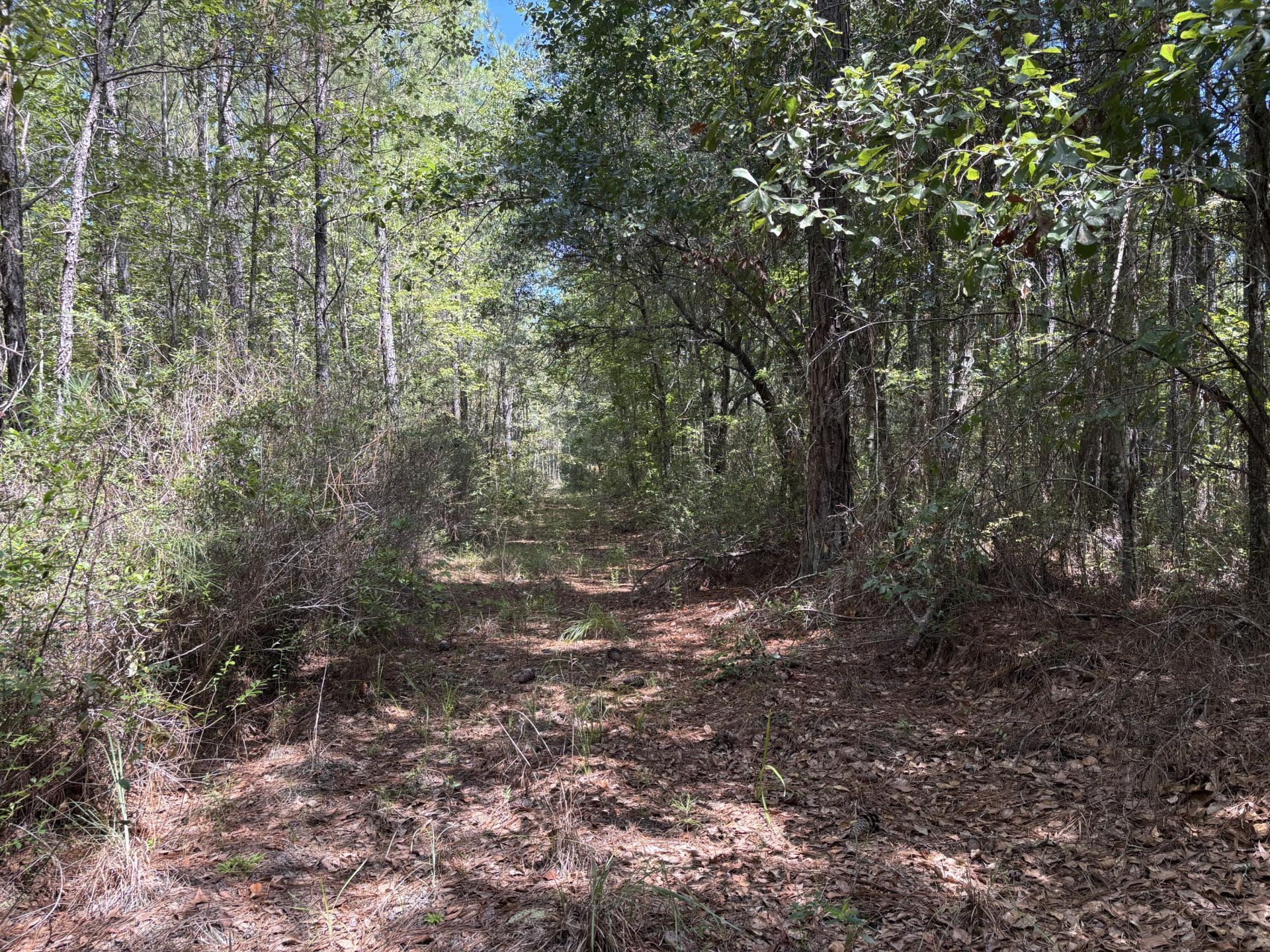 10 Red Oak Road Photo 5