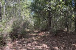 10 Red Oak Road photo 4