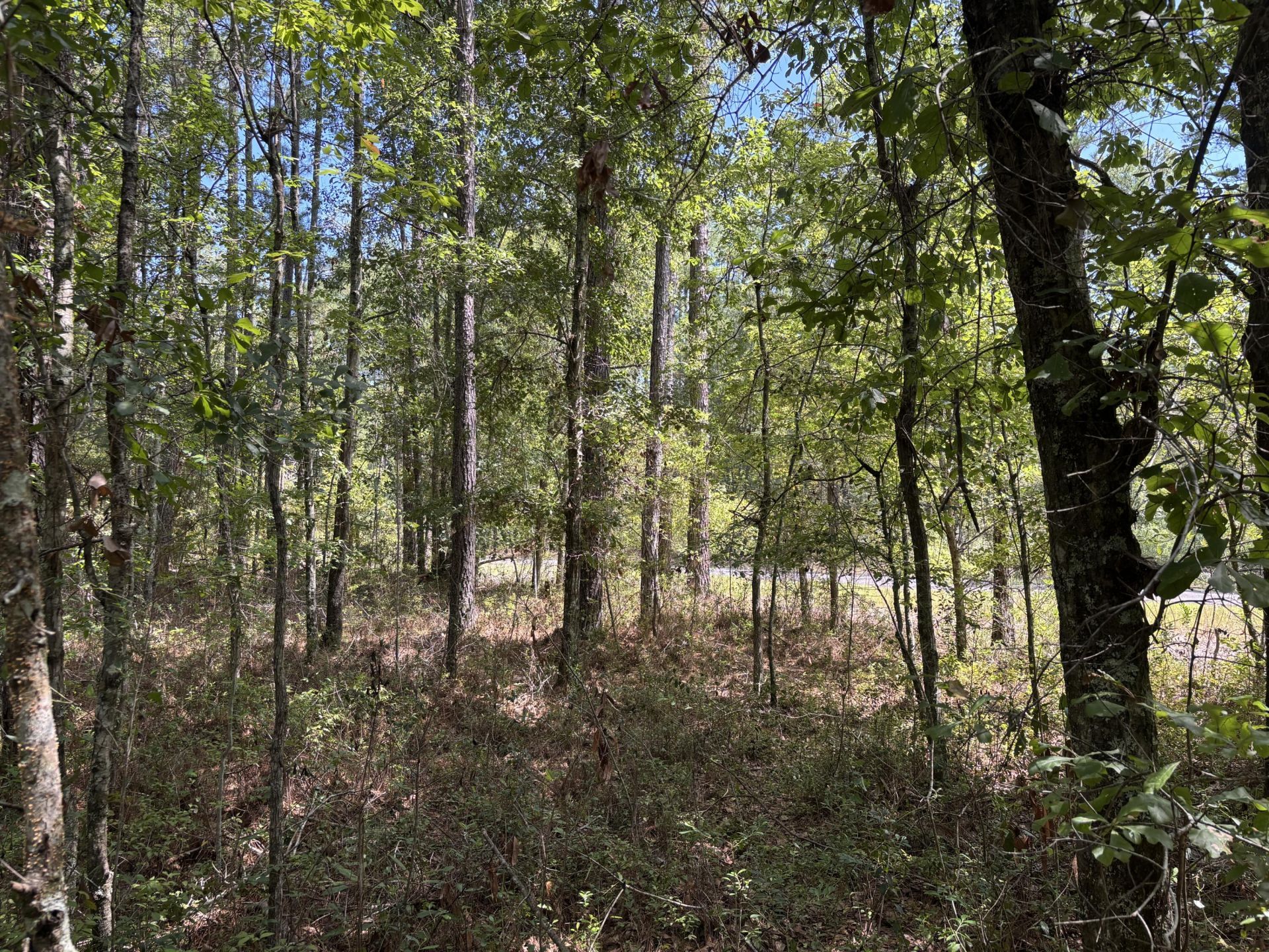 10 Red Oak Road Photo 6