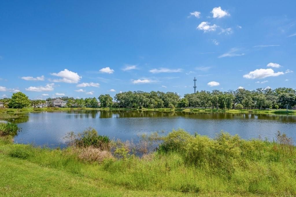 5412 Camberwell Lane, Riverview, FL 33578 Photo