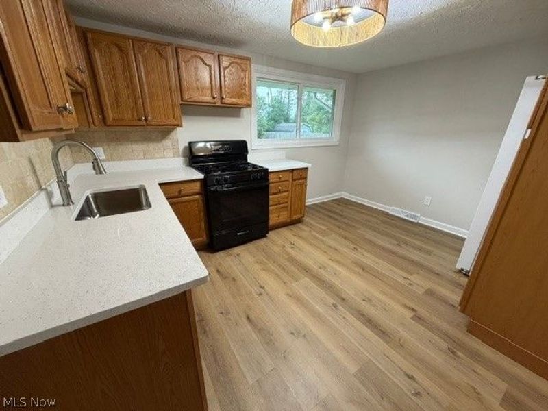 10121 N Delmonte Boulevard, Streetsboro, OH 44241 Photo 4