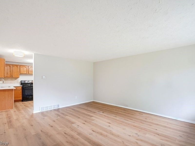 10121 N Delmonte Boulevard, Streetsboro, OH 44241 Photo 4