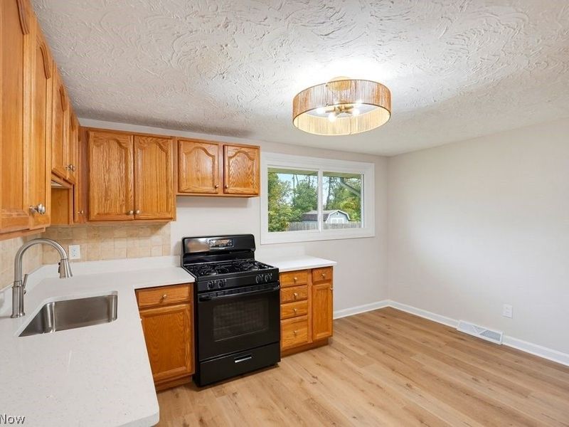 10121 N Delmonte Boulevard, Streetsboro, OH 44241 Photo 6