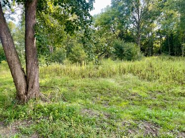 0 Schleppi Road , Unit Lot 1, New Albany, OH 43054