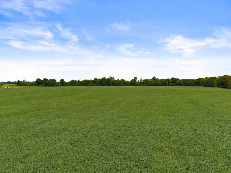 0000 Miller Paul, Galena, OH 43021 Photo 16