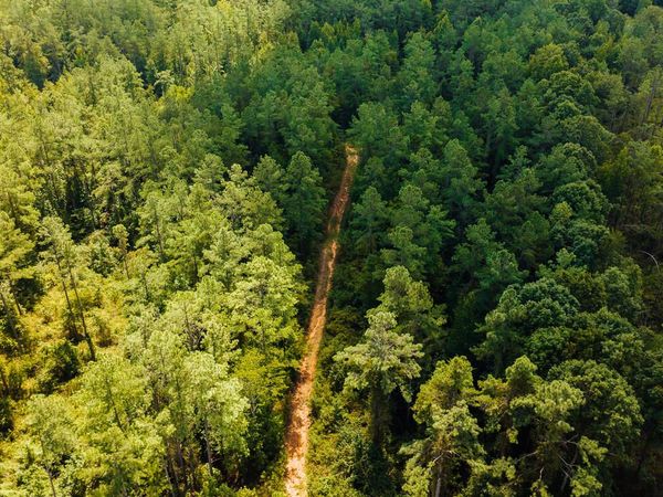 00 County Road 428, Paris, MS 38949