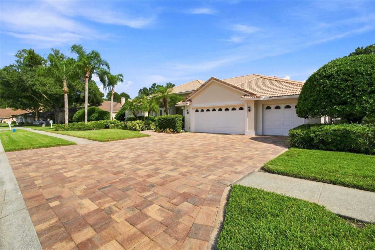 3626 Swans Landing Drive, Land O Lakes, FL 34639 Photo
