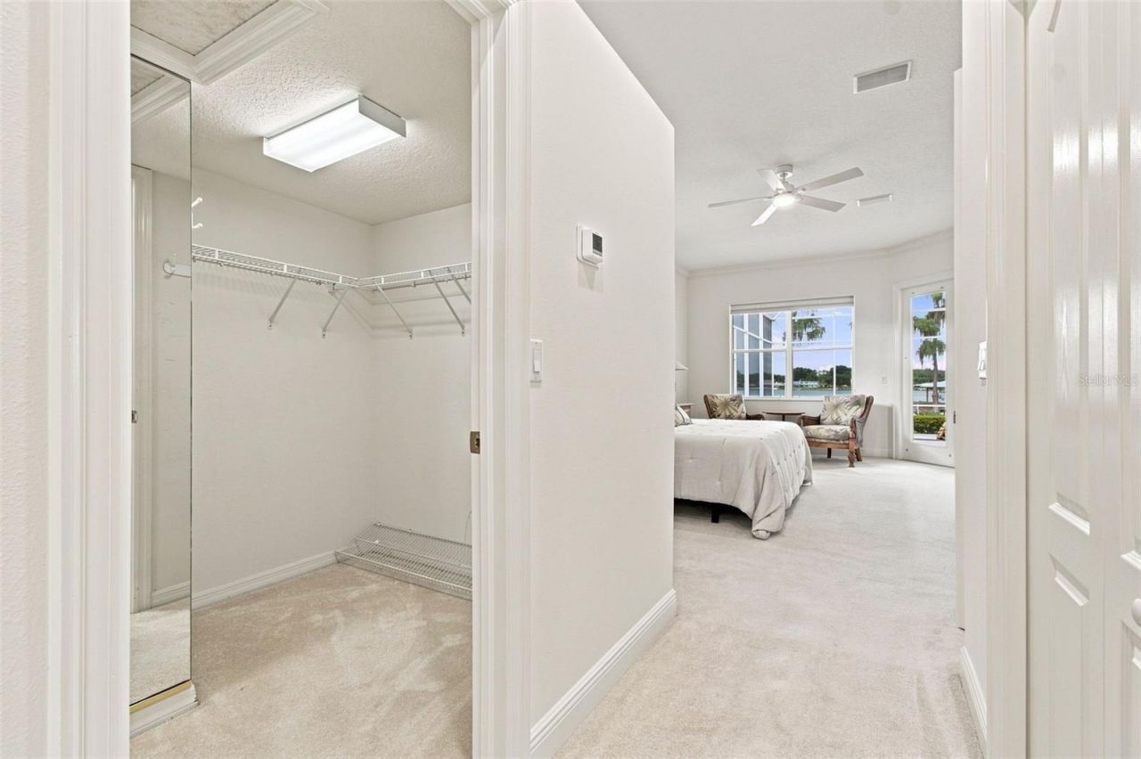 3626 Swans Landing Drive, Land O Lakes, FL 34639 Photo