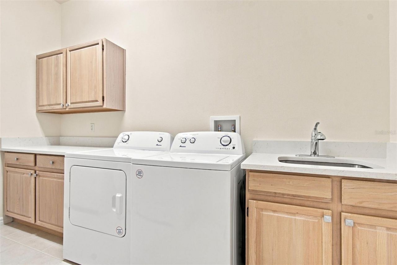 3626 Swans Landing Drive, Land O Lakes, FL 34639 Photo