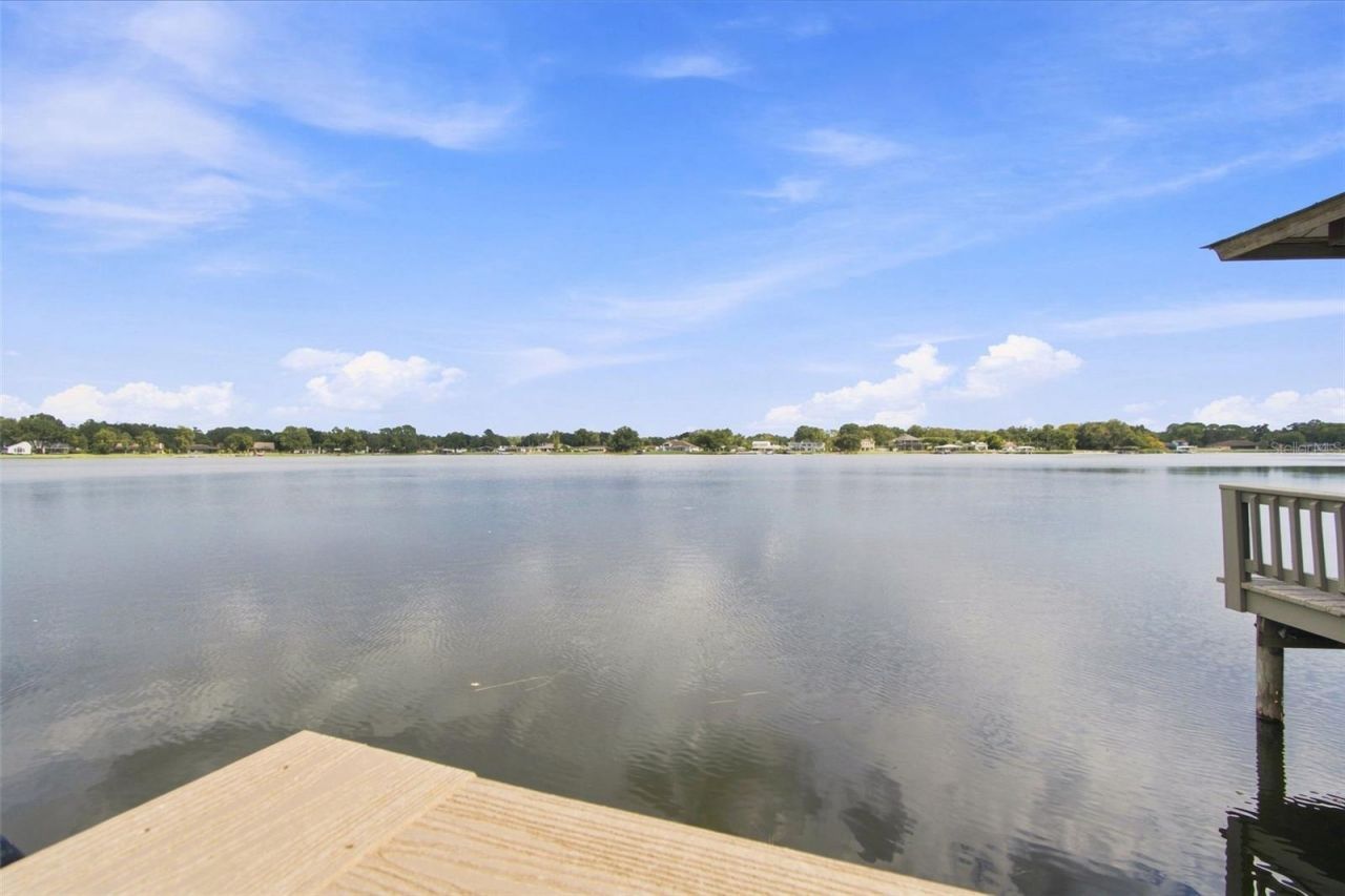3626 Swans Landing Drive, Land O Lakes, FL 34639 Photo