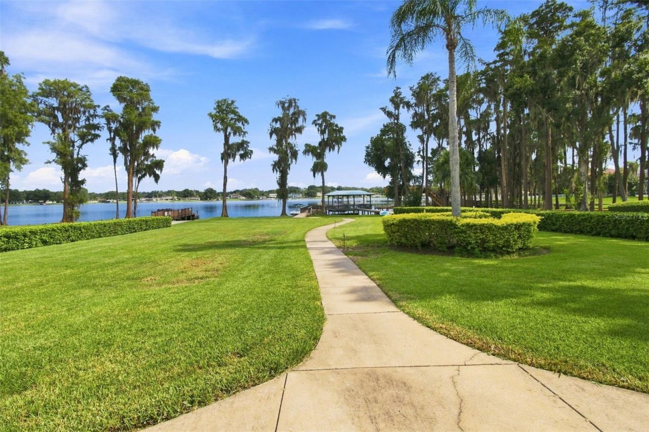 3626 Swans Landing Drive, Land O Lakes, FL 34639 Photo