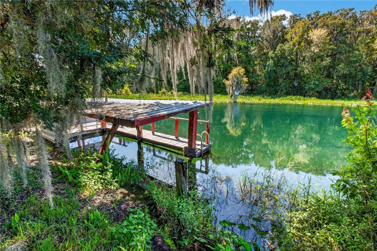 12180 Maple Street, Dunnellon, FL 34432 Photo