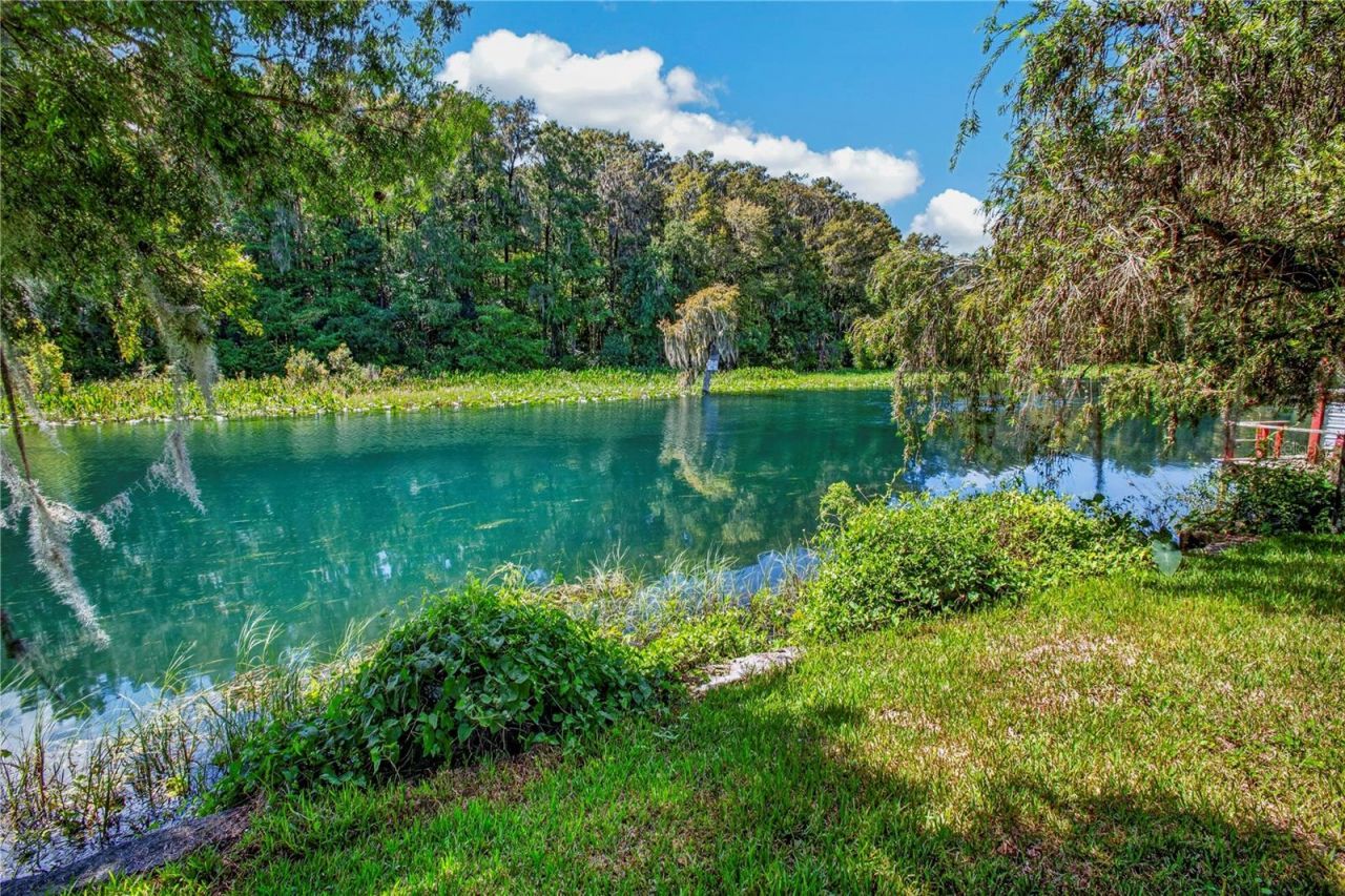 12180 Maple Street, Dunnellon, FL 34432 Photo