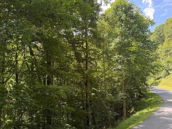 00 Chestnut Village Lane , Mars Hill, NC 28754