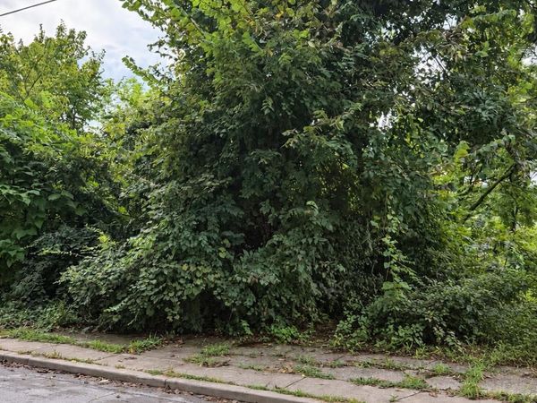 1621 Tremont Street, Cincinnati, OH 45214