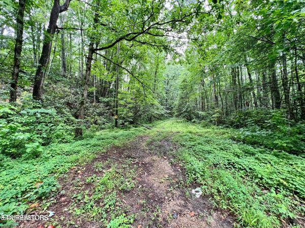 Sycamore St, Sevierville, TN 37876