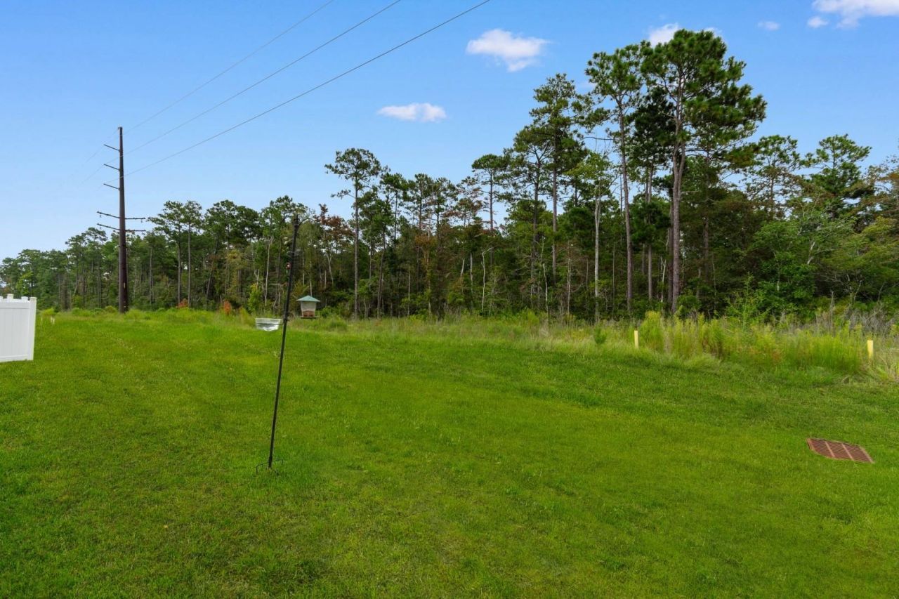 347 Black Pearl Way Photo 28