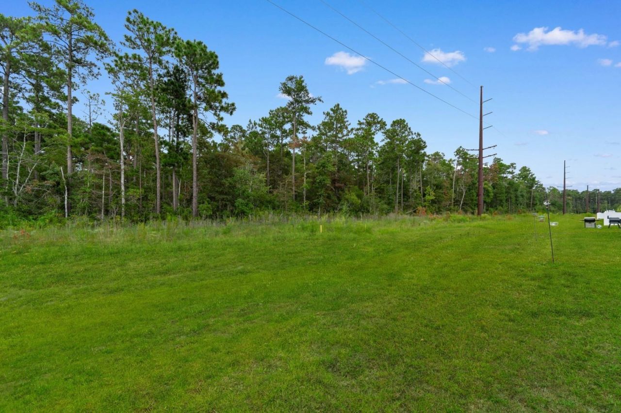347 Black Pearl Way Photo 29