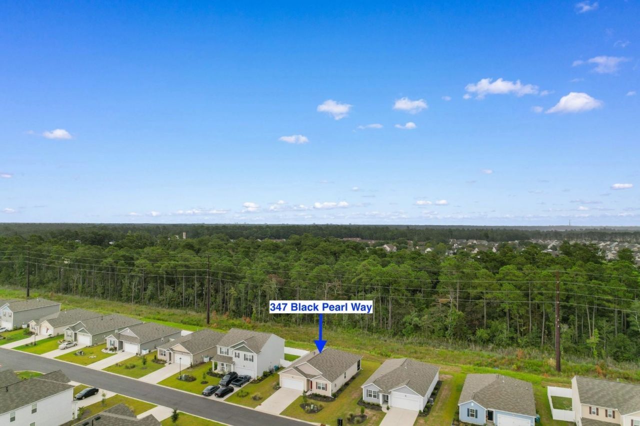 347 Black Pearl Way Photo 30