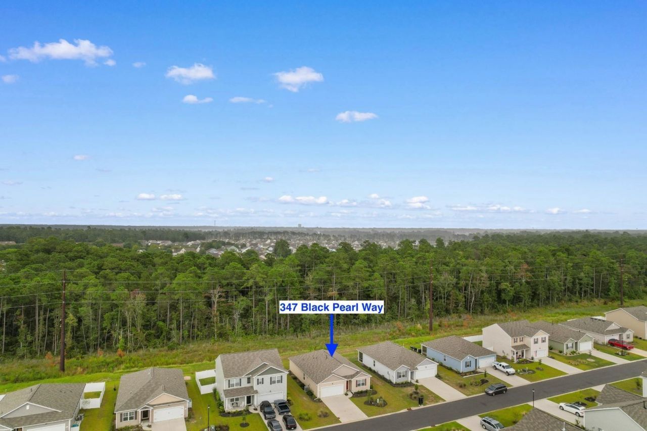 347 Black Pearl Way Photo 31